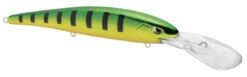 SPRO MadEye Minnow 120 Deep Diving Walleye Trolling Lure 28 SPRO MadEye Minnow 120 Deep Diving Walleye Trolling Lure -Famous Fishing Store 32339518816345