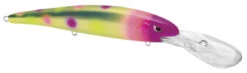 SPRO MadEye Minnow 120 Deep Diving Walleye Trolling Lure 29 SPRO MadEye Minnow 120 Deep Diving Walleye Trolling Lure -Famous Fishing Store 32339518849113