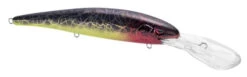 SPRO MadEye Minnow 120 Deep Diving Walleye Trolling Lure 31 SPRO MadEye Minnow 120 Deep Diving Walleye Trolling Lure -Famous Fishing Store 32339518914649
