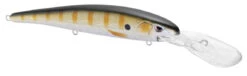 SPRO MadEye Minnow 120 Deep Diving Walleye Trolling Lure 32 SPRO MadEye Minnow 120 Deep Diving Walleye Trolling Lure -Famous Fishing Store 32339518947417