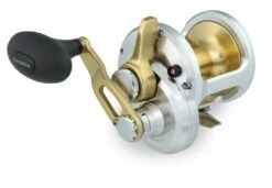Shimano Talica 1-Speed Lever Drag Conventional Reels -Famous Fishing Store 32382648057945