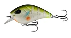 13 Fishing Flatty Daddy 2 1/2 Inch Flat-Sided Squarebill Crankbait 14 13 Fishing Flatty Daddy 2 1/2 Inch Flat-Sided Squarebill Crankbait -Famous Fishing Store 39255574184025