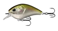 13 Fishing Flatty Daddy 2 1/2 Inch Flat-Sided Squarebill Crankbait 15 13 Fishing Flatty Daddy 2 1/2 Inch Flat-Sided Squarebill Crankbait -Famous Fishing Store 39255574216793