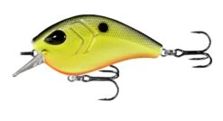 13 Fishing Flatty Daddy 2 1/2 Inch Flat-Sided Squarebill Crankbait 19 13 Fishing Flatty Daddy 2 1/2 Inch Flat-Sided Squarebill Crankbait -Famous Fishing Store 39255574347865