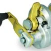 Shimano Talica 2-Speed Lever Drag Conventional Reels -Famous Fishing Store 39256855707737