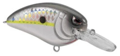 SPRO Little John MD 50 Type R Medium Diving Crankbait -Famous Fishing Store 39332415307865