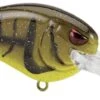 SPRO Little John MD 50 Type R Medium Diving Crankbait -Famous Fishing Store 39332415406169