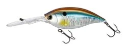 Hardcore Bullet Crank 100F 7+ Extra Deep Crankbait -Famous Fishing Store 39406623555673