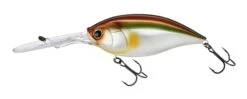 Hardcore Bullet Crank 100F 7+ Extra Deep Crankbait -Famous Fishing Store 39406623621209
