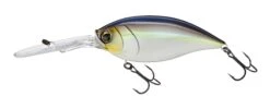 Hardcore Bullet Crank 100F 7+ Extra Deep Crankbait -Famous Fishing Store 39406623686745