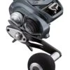 Daiwa Lexa TW 300 Baitcasting Reels -Famous Fishing Store 39445632254041