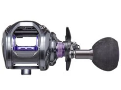Daiwa Prorex 400 TW Baitcasting Reels 10 Daiwa Prorex 400 TW Baitcasting Reels -Famous Fishing Store 3 f84edf65 20e0 433a a855 b874111507ea
