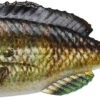 Savage Gear Structure Gill Swimbait -Famous Fishing Store 40090735837273
