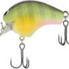 Shimano Macbeth 50F Hybrid Square Bill Crankbait -Famous Fishing Store 40094938038361