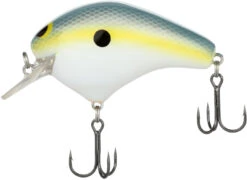 Shimano Macbeth Original 63F Hybrid Edge Square Bill Crankbait 20 Shimano Macbeth Original 63F Hybrid Edge Square Bill Crankbait -Famous Fishing Store 40094949245017