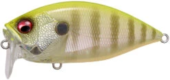 Megabass O.R.C. Over Rev Crank JDM Waking Crankbait -Famous Fishing Store 40204979208281