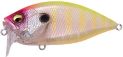 Megabass O.R.C. Over Rev Crank JDM Waking Crankbait -Famous Fishing Store 40204979241049