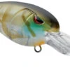 SPRO RK Crawler DD 50 Deep Diving Crankbait -Famous Fishing Store 40302774714457