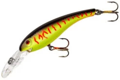 Cotton Cordell Wally Diver Suspending Walleye Lure 7 Cotton Cordell Wally Diver Suspending Walleye Lure -Famous Fishing Store 40303954427993