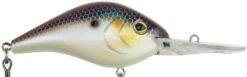 Berkley Dredger Deep Diving Crankbait Deeper Diving Models -Famous Fishing Store 40325002952793
