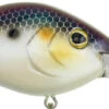 Berkley Dredger Deep Diving Crankbait Deeper Diving Models -Famous Fishing Store 40325003018329