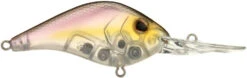 Berkley Dredger Deep Diving Crankbait Deeper Diving Models -Famous Fishing Store 40325003247705