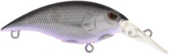 Berkley Money Badger Trolling Plug / Crankbait -Famous Fishing Store 40326907199577