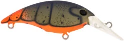 Berkley Money Badger Trolling Plug / Crankbait -Famous Fishing Store 40326907363417