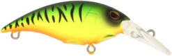Berkley Money Badger Trolling Plug / Crankbait -Famous Fishing Store 40326907428953