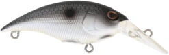 Berkley Money Badger Trolling Plug / Crankbait -Famous Fishing Store 40326907461721