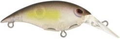 Berkley Money Badger Trolling Plug / Crankbait -Famous Fishing Store 40326907625561