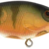Berkley Money Badger Trolling Plug / Crankbait 2 Berkley Money Badger Trolling Plug / Crankbait -Famous Fishing Store 40326907953241