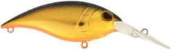 Berkley Money Badger Deep Diving Trolling Plug / Crankbait 24 Berkley Money Badger Deep Diving Trolling Plug / Crankbait -Famous Fishing Store 40326922502233