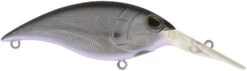 Berkley Money Badger Deep Diving Trolling Plug / Crankbait 26 Berkley Money Badger Deep Diving Trolling Plug / Crankbait -Famous Fishing Store 40326922567769