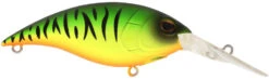 Berkley Money Badger Deep Diving Trolling Plug / Crankbait 35 Berkley Money Badger Deep Diving Trolling Plug / Crankbait -Famous Fishing Store 40326922895449