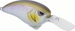 SPRO Outsider MR 60 Crankbait -Famous Fishing Store 40342466232409