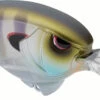 SPRO Outsider MR 60 Crankbait 2 SPRO Outsider MR 60 Crankbait -Famous Fishing Store 40342466330713