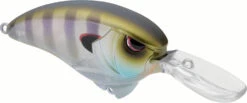 SPRO Outsider MR 60 Crankbait