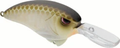 SPRO Outsider MR 60 Crankbait -Famous Fishing Store 40342466396249