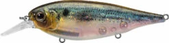 Evergreen International XV-5 X-Over Hybrid Jerk Crankbait -Famous Fishing Store 40378015023193