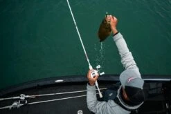 Abu Garcia Veritas Winch Baitcasting Rod -Famous Fishing Store ABU CASTING ROD VERITAS PLX WINCH LIFESTYLE 2021 005