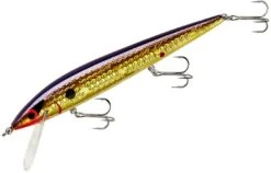 Smithwick Elite 8 Rogue 4 1/2 Inch Suspending Jerkbait -Famous Fishing Store ADR4213