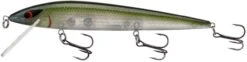 Smithwick Elite 8 Rogue 4 1/2 Inch Suspending Jerkbait -Famous Fishing Store ADR4281