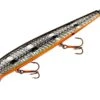 Smithwick Suspending Super Rogue 5 Inch Jerkbait -Famous Fishing Store ASDRD1231OB