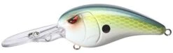 SPRO Mike McClelland RkCrawler 55 Deep Diving Crankbait 26 SPRO Mike McClelland RkCrawler 55 Deep Diving Crankbait -Famous Fishing Store Ayu Shad 922eb252 6597 40c6 8dd7 76776bafdde8