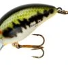 Bomber Model 5A Shallow-Medium Diving Crankbait -Famous Fishing Store B05ABBO