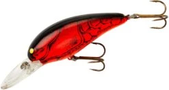 Bomber Model 7A Medium Diving Crankbait -Famous Fishing Store B07AXC5 5ebfdafd f4e2 44c3 b14d 07a4a42e537b