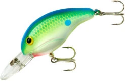 Bandit 200 Series Medium Diving Crankbait 31 Bandit 200 Series Medium Diving Crankbait -Famous Fishing Store BDT2D01