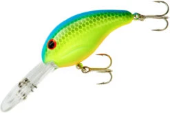 Bandit 300 Series Deep Diving Crankbait -Famous Fishing Store BDT336
