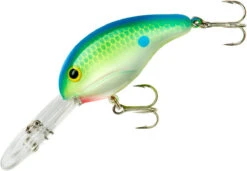 Bandit 300 Series Deep Diving Crankbait -Famous Fishing Store BDT3D01